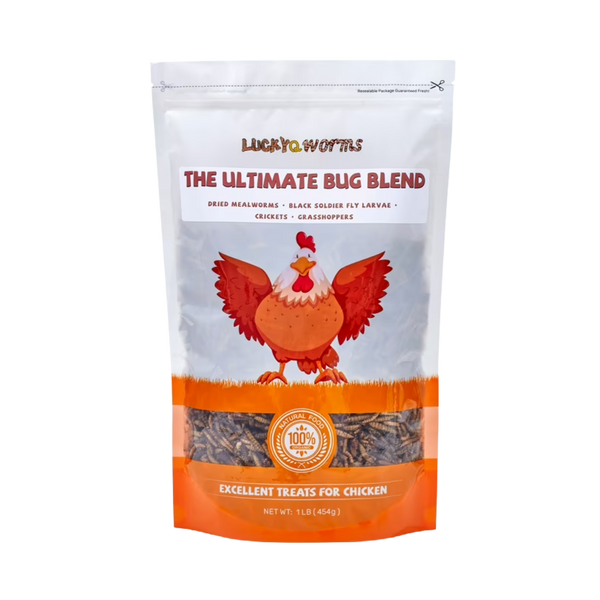LuckyQ Mealworms - 1 lb