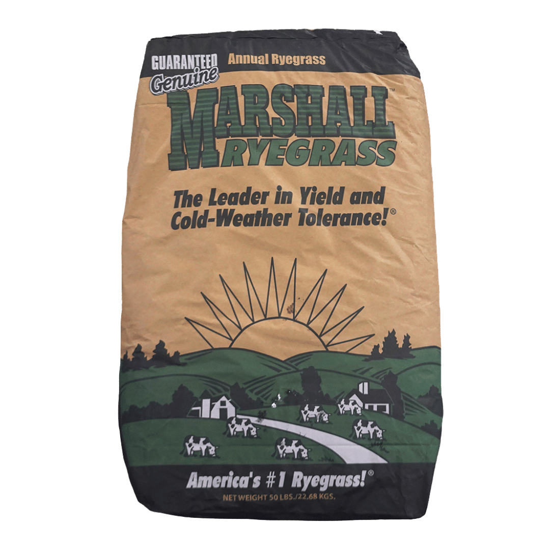 Marshall Ryegrass - 1 lb Bag