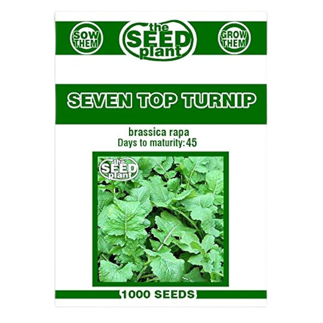 Seven Top Turnip Seed - 5 lb Bag
