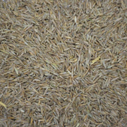 Teton Tall Fescue - 50 lb Bag