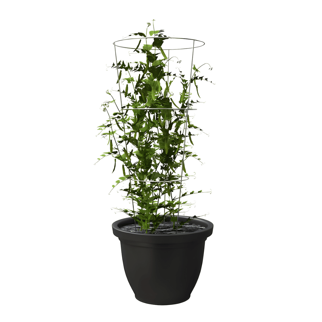 Tomato Cage – 33"