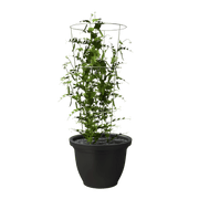 Tomato Cage – 33"