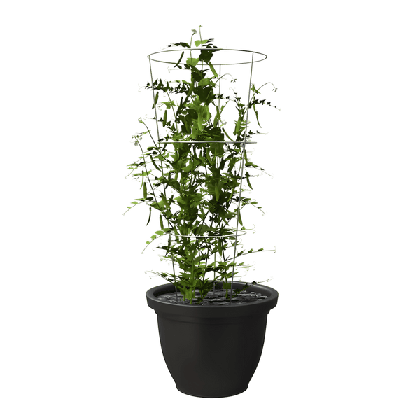 Tomato Cage – 33"
