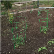 Tomato Cage – 42"