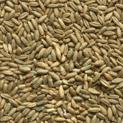 VNS Cereal Rye- 2,000 lb Tote Bag